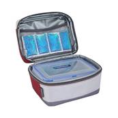 COMBO PICNIC FREEZ BOX MEDIUM 2,5L +  FLEXI FREEZ PACK S 