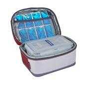 COMBO PICNIC FREEZ BOX LARGE 3L + FLEXI FREEZ PACK S 