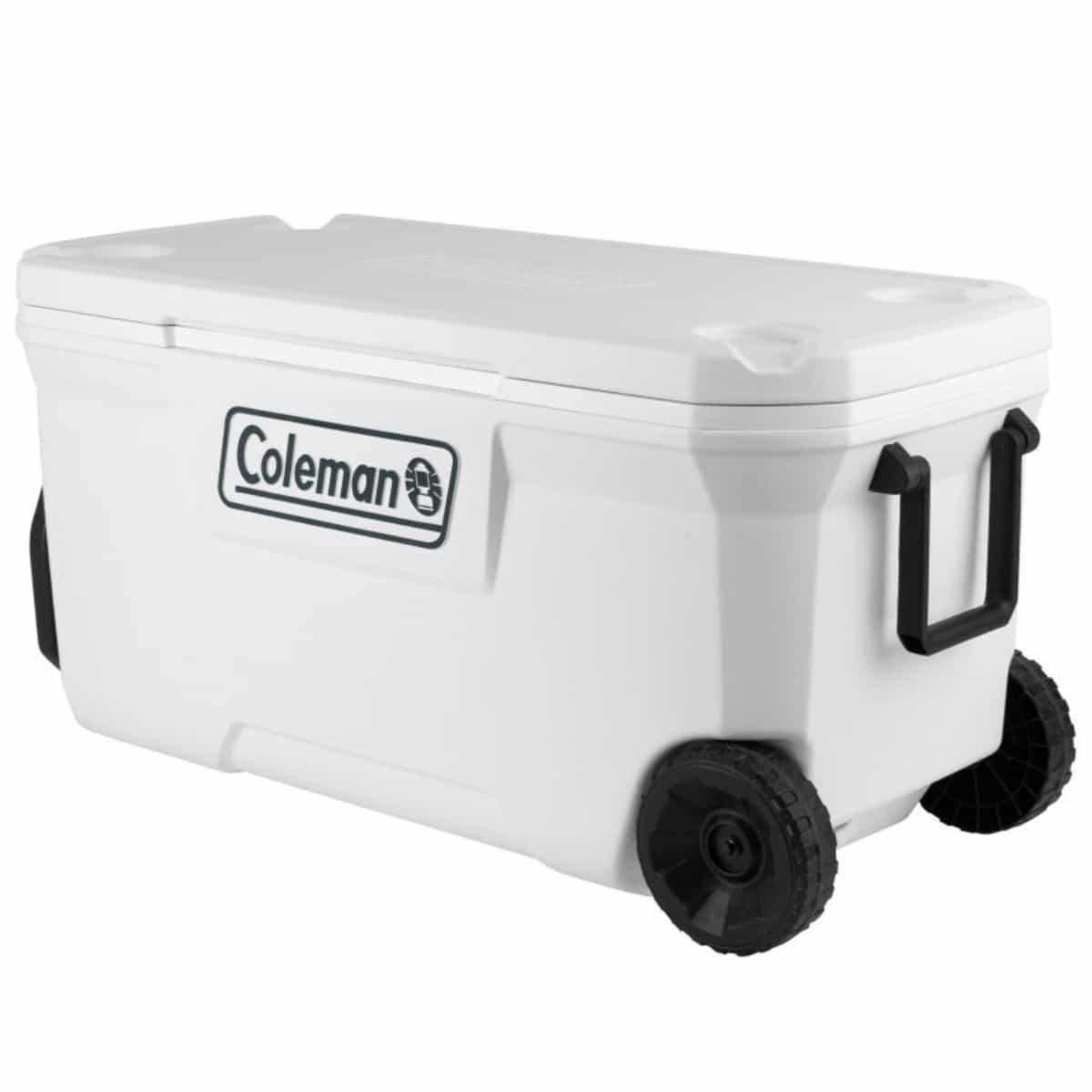 Glacière 150 litres rigide