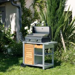 PLANCHA GAZ MASTER 2 PRO 