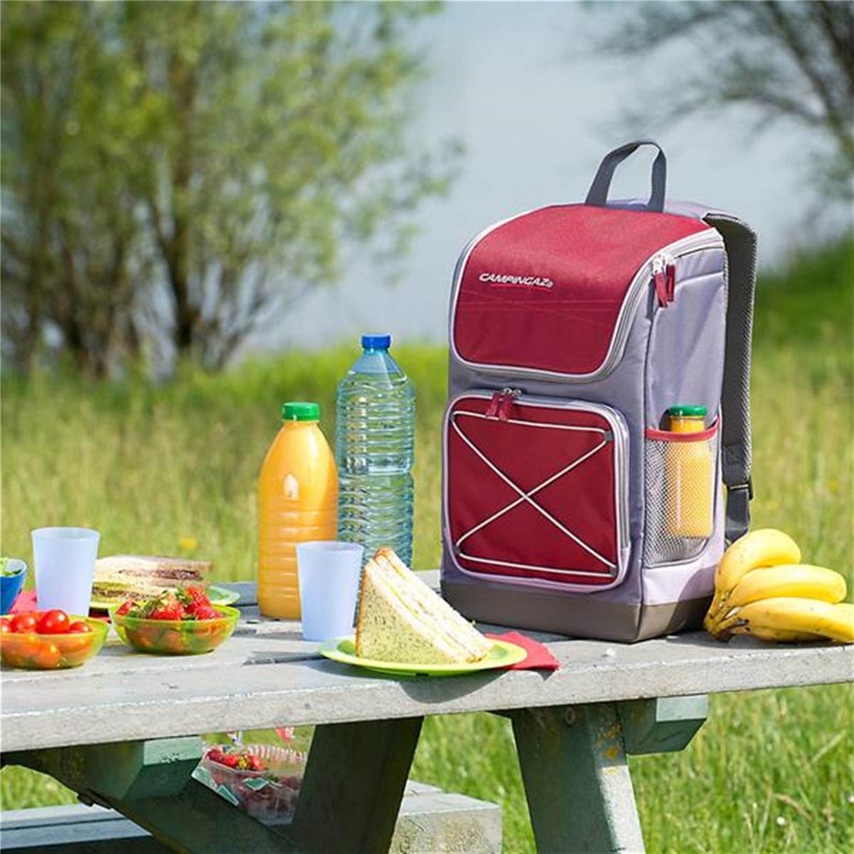 30L Sac à Dos Isotherme Étanche Glacière Grand Sac à Dos de Pique-Nique  Alimentaire Léger Déjeuner Camping BBQ Randonnée, Mode en ligne