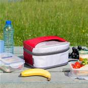 COMBO PICNIC FREEZ BOX LARGE 3L + FLEXI FREEZ PACK S 